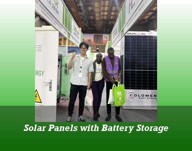 Solar Panels with Battery Storage